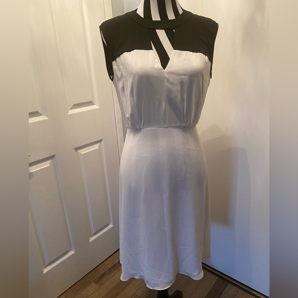Brand New Bcbg Max Azria Dress